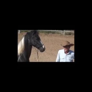 Meet your Posher, Pat